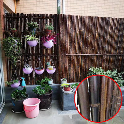 Trellis ρόλων μπαμπού 150x180cm περιφράζοντας μπαλκονιών φράκτης μπαμπού κατωφλιών διακοσμητικός