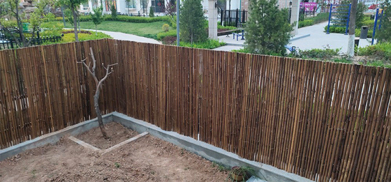 Βρεφικός σταθμός 2x1.8m διακοσμητικός φράκτης μπαμπού με ανθρακωμένη την πλαίσιο περίφραξη μπαμπού