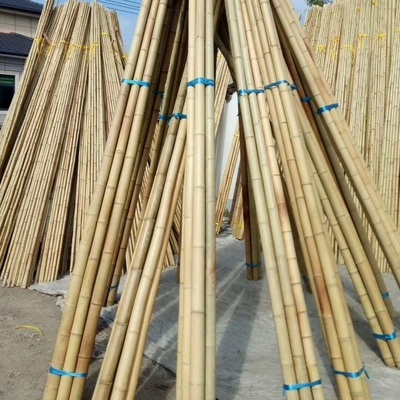 Χονδρικός πώλησης φύσης Raw Tonkin Yellow Bamboo Pole Cane υλικό για διακοσμητικά και φυτά αναπτύσσουν υποστήριξη